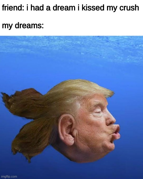 Trump Fish | friend: i had a dream i kissed my crush
  
my dreams: | image tagged in trump fish,my dreams | made w/ Imgflip meme maker