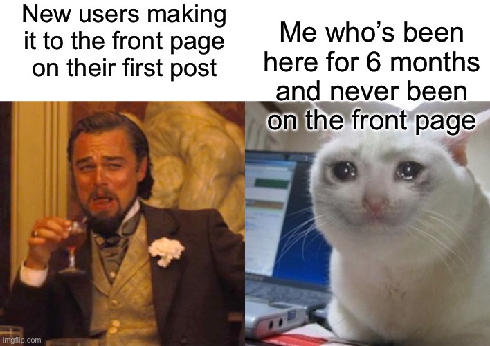 Seriously how do new users make it to the front page on their first post | New users making it to the front page on their first post; Me who’s been here for 6 months and never been on the front page | image tagged in memes,laughing leo,crying cat,imgflip | made w/ Imgflip meme maker