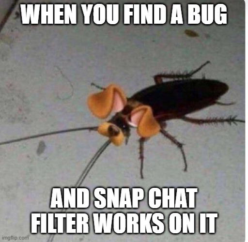A bug named joe | WHEN YOU FIND A BUG; AND SNAP CHAT FILTER WORKS ON IT | image tagged in bug,doge | made w/ Imgflip meme maker