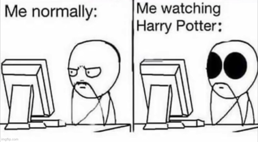Me watching Harry potter | image tagged in harry potter | made w/ Imgflip meme maker