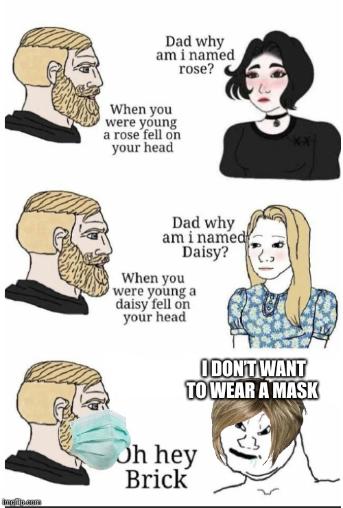 oh hey brick | I DON’T WANT TO WEAR A MASK | image tagged in oh hey brick | made w/ Imgflip meme maker