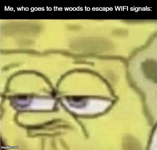 Me, who goes to the woods to escape WIFI signals: | made w/ Imgflip meme maker