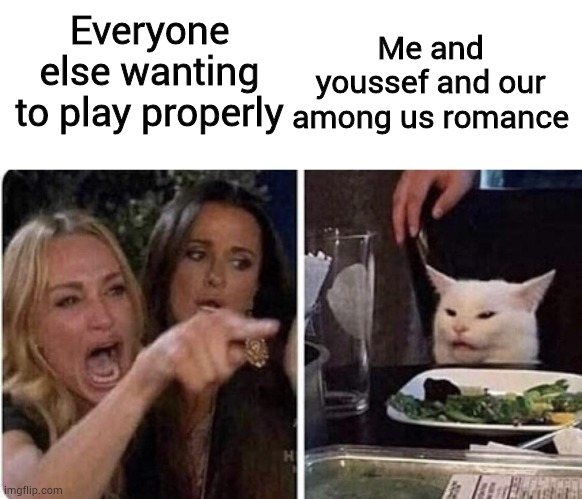 Youssef | Everyone else wanting to play properly; Me and youssef and our among us romance | image tagged in angry woman and cat,i love you youssef,among us | made w/ Imgflip meme maker