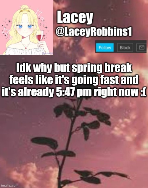 Lacey announcement template | Idk why but spring break feels like it's going fast and it's already 5:47 pm right now :( | image tagged in lacey announcement template | made w/ Imgflip meme maker