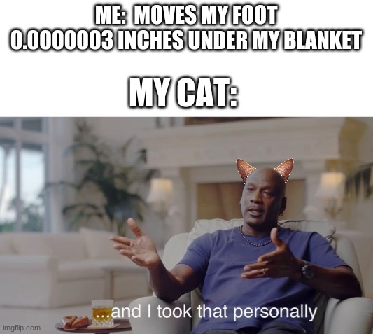 ...and I took that personally | ME:  MOVES MY FOOT 0.0000003 INCHES UNDER MY BLANKET; MY CAT: | image tagged in and i took that personally | made w/ Imgflip meme maker