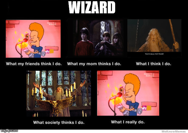 Wizard |  WIZARD | image tagged in what i really do | made w/ Imgflip meme maker
