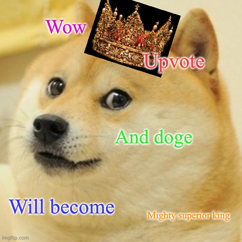 Doge Meme - Imgflip