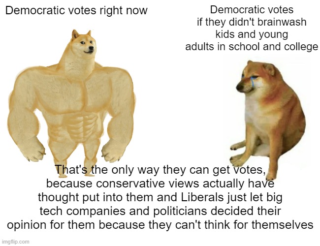 Buff Doge vs. Cheems Meme | Democratic votes right now; Democratic votes if they didn't brainwash kids and young adults in school and college; That's the only way they can get votes, because conservative views actually have thought put into them and Liberals just let big tech companies and politicians decided their opinion for them because they can't think for themselves | image tagged in memes,buff doge vs cheems | made w/ Imgflip meme maker