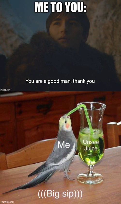 ME TO YOU: | image tagged in you are a good man thank you | made w/ Imgflip meme maker