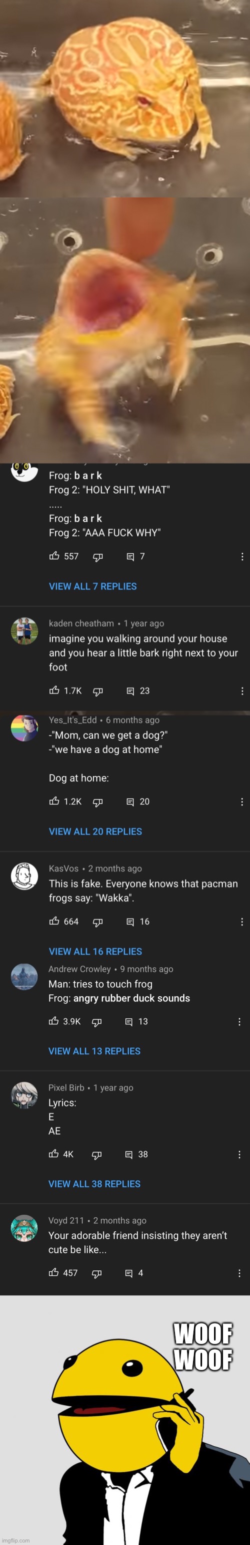 Pacman frog goes bark bark bark | WOOF WOOF | image tagged in sr pacman,pacman,frogs,two happy frogs,youtube comments,youtube | made w/ Imgflip meme maker