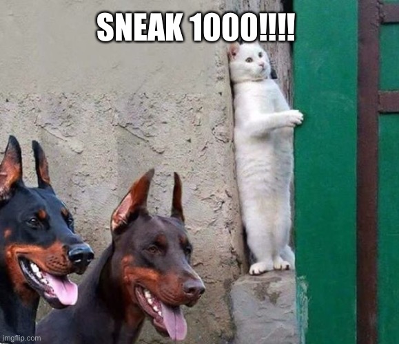 Sneaky cat | SNEAK 1000!!!! | image tagged in sneaky cat | made w/ Imgflip meme maker