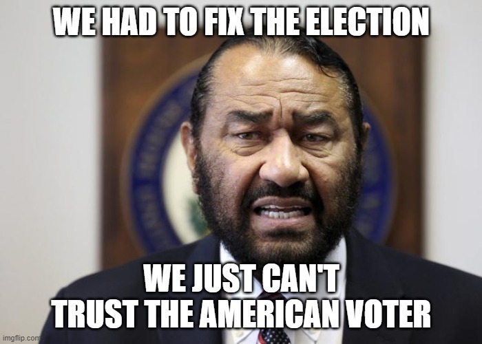 AL Green | WE HAD TO FIX THE ELECTION; WE JUST CAN'T TRUST THE AMERICAN VOTER | image tagged in al green | made w/ Imgflip meme maker