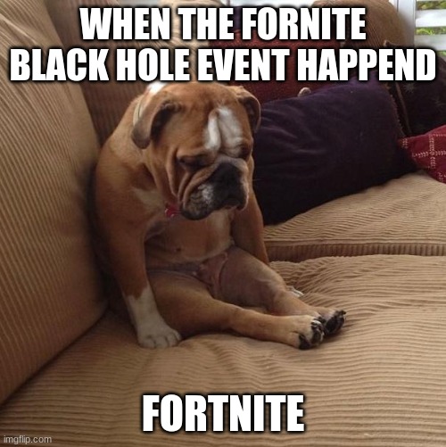 bulldogsad | WHEN THE FORNITE BLACK HOLE EVENT HAPPEND; FORTNITE | image tagged in bulldogsad | made w/ Imgflip meme maker