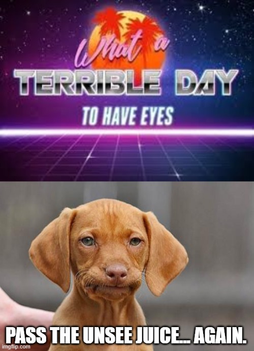 PASS THE UNSEE JUICE... AGAIN. | image tagged in what a terrible day to have eyes,dissapointed puppy | made w/ Imgflip meme maker