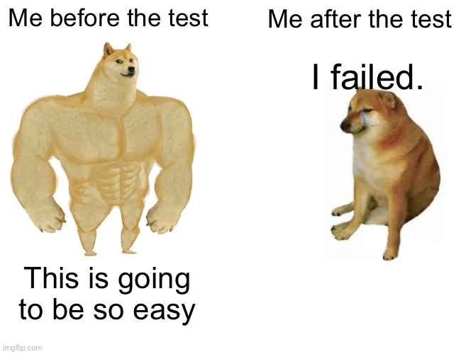 Buff Doge vs. Cheems Meme | Me before the test; Me after the test; I failed. This is going to be so easy | image tagged in memes,buff doge vs cheems | made w/ Imgflip meme maker