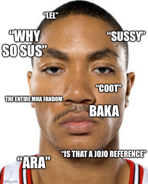 Not funny  | “LEL”; “SUSSY”; “WHY SO SUS”; “COOT”; THE ENTIRE MHA FANDOM; BAKA; “IS THAT A JOJO REFERENCE”; “ARA” | image tagged in derrick rose straight face | made w/ Imgflip meme maker