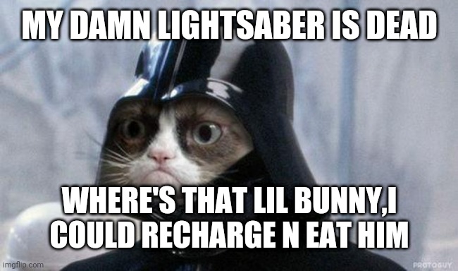 Grumpy Cat Star Wars | MY DAMN LIGHTSABER IS DEAD; WHERE'S THAT LIL BUNNY,I COULD RECHARGE N EAT HIM | image tagged in memes,grumpy cat star wars,grumpy cat | made w/ Imgflip meme maker