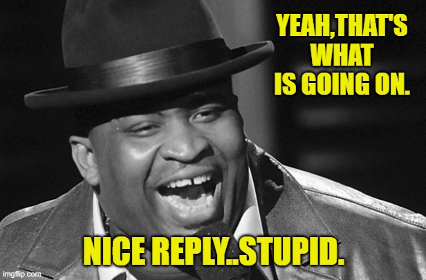 YEAH,THAT'S WHAT IS GOING ON. NICE REPLY..STUPID. | made w/ Imgflip meme maker