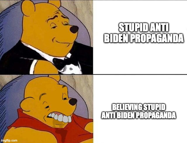 Winnie the Pooh | STUPID ANTI BIDEN PROPAGANDA BELIEVING STUPID ANTI BIDEN PROPAGANDA | image tagged in winnie the pooh | made w/ Imgflip meme maker