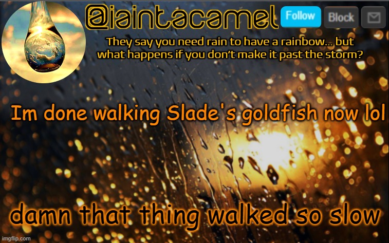 iaintacamel | Im done walking Slade's goldfish now lol; damn that thing walked so slow | image tagged in iaintacamel | made w/ Imgflip meme maker