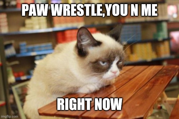 Grumpy Cat Table | PAW WRESTLE,YOU N ME; RIGHT NOW | image tagged in memes,grumpy cat table,grumpy cat | made w/ Imgflip meme maker