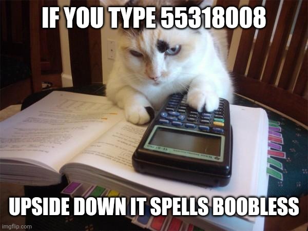 Math cat |  IF YOU TYPE 55318008; UPSIDE DOWN IT SPELLS BOOBLESS | image tagged in math cat | made w/ Imgflip meme maker