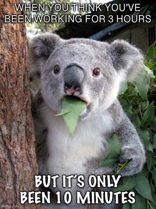 Personal experience | WHEN YOU THINK YOU’VE BEEN WORKING FOR 3 HOURS; BUT IT’S ONLY BEEN 10 MINUTES | image tagged in memes,surprised koala | made w/ Imgflip meme maker