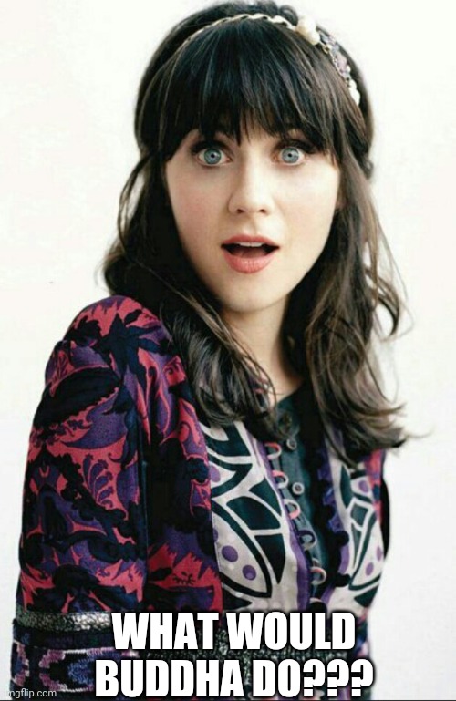 Zooey Deschanel shocked face | WHAT WOULD BUDDHA DO??? | image tagged in zooey deschanel shocked face | made w/ Imgflip meme maker