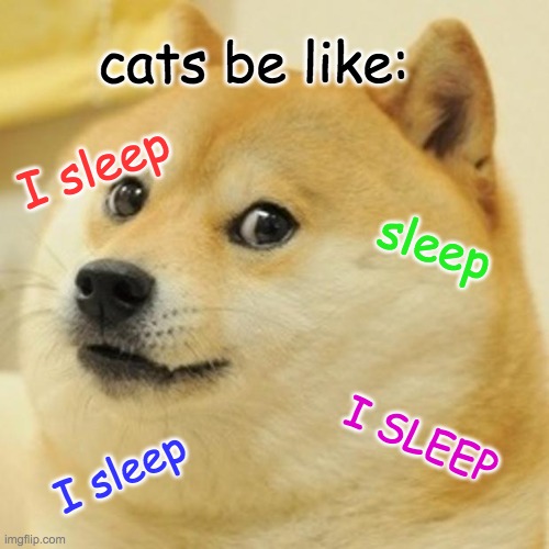 sleep | cats be like:; I sleep; sleep; I SLEEP; I sleep | image tagged in memes,doge | made w/ Imgflip meme maker