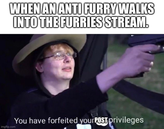This took me way too long to make. | WHEN AN ANTI FURRY WALKS INTO THE FURRIES STREAM. POST | image tagged in you have forfeited life privileges | made w/ Imgflip meme maker