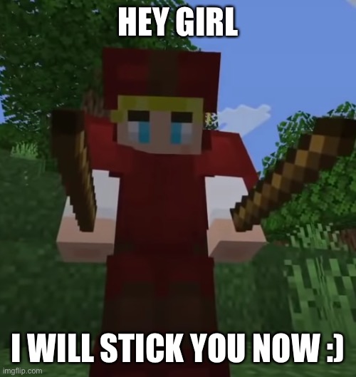 tommy reference | HEY GIRL; I WILL STICK YOU NOW :) | image tagged in tommyinnit sticks | made w/ Imgflip meme maker