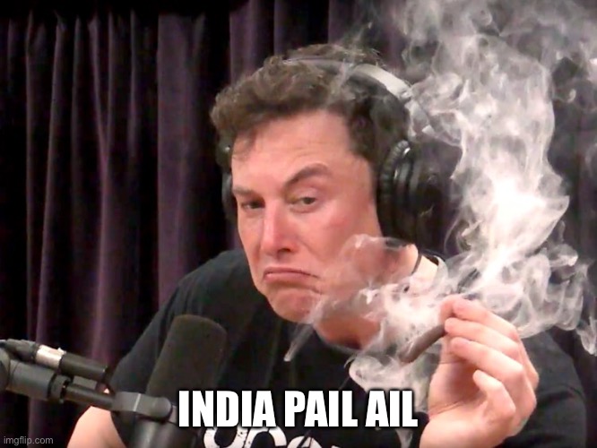 Elon Musk Weed | INDIA PAIL AIL | image tagged in elon musk weed | made w/ Imgflip meme maker