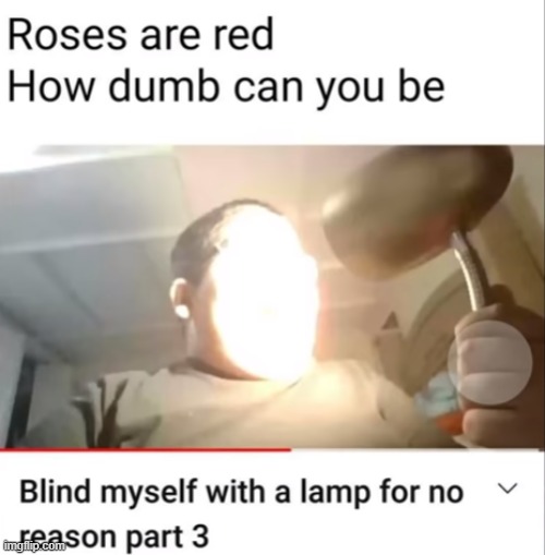 Ah yes lamp blinding | image tagged in dumb | made w/ Imgflip meme maker