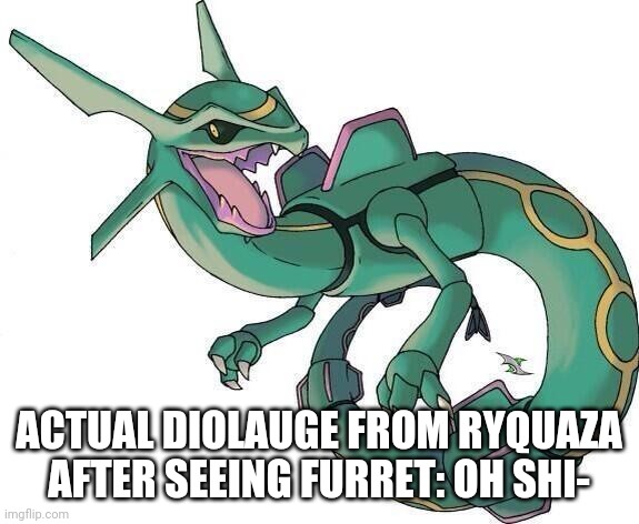 Bad Joke Rayquaza | ACTUAL DIOLAUGE FROM RYQUAZA AFTER SEEING FURRET: OH SHI- | image tagged in bad joke rayquaza | made w/ Imgflip meme maker