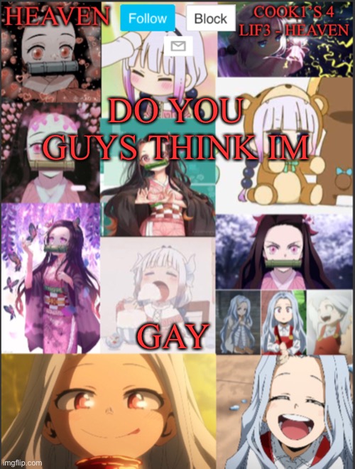 I THINK NOT | DO YOU GUYS THINK IM; GAY | image tagged in heavens temp adorable | made w/ Imgflip meme maker