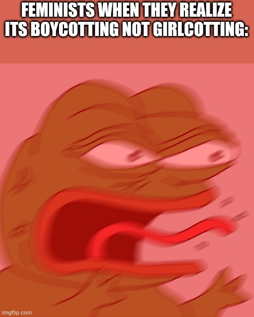 Reeeee | FEMINISTS WHEN THEY REALIZE ITS BOYCOTTING NOT GIRLCOTTING: | image tagged in rage pepe | made w/ Imgflip meme maker