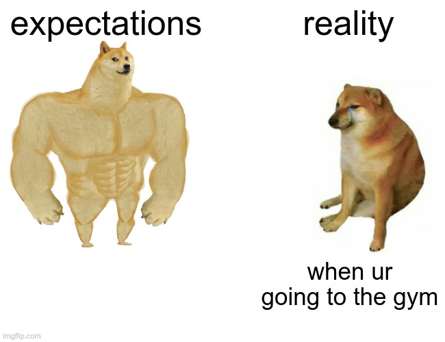 Buff Doge vs. Cheems Meme | expectations; reality; when ur going to the gym | image tagged in memes,buff doge vs cheems | made w/ Imgflip meme maker