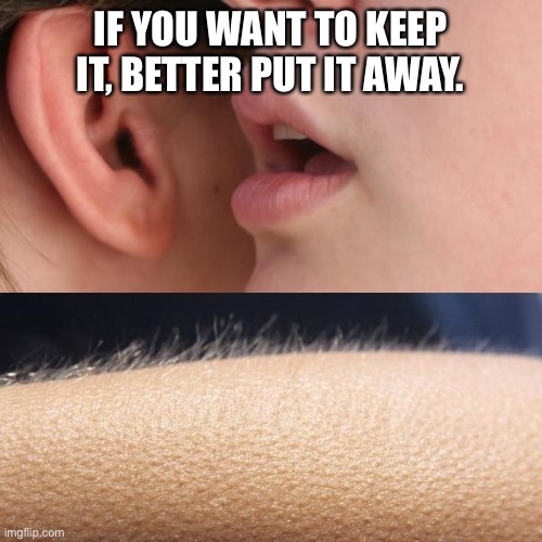 Wanna keep it | IF YOU WANT TO KEEP IT, BETTER PUT IT AWAY. | image tagged in whisper and goosebumps | made w/ Imgflip meme maker