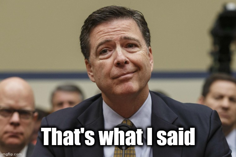 James Comey | That's what I said | image tagged in james comey | made w/ Imgflip meme maker
