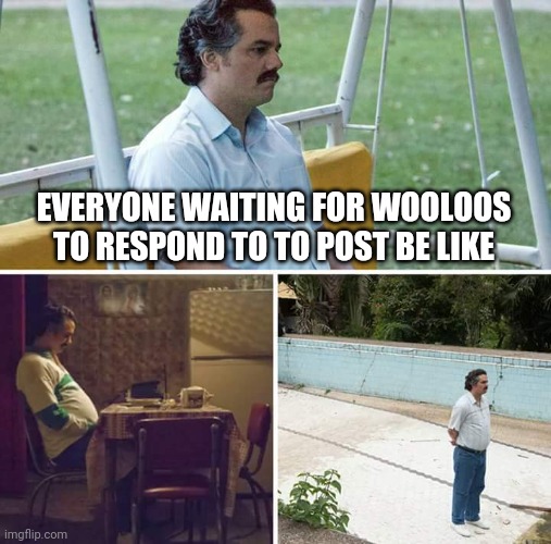 Meme | EVERYONE WAITING FOR WOOLOOS TO RESPOND TO TO POST BE LIKE | image tagged in memes,sad pablo escobar | made w/ Imgflip meme maker