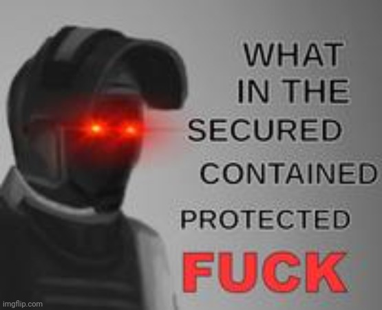 What in the secured contained protected fuck | image tagged in what in the secured contained protected fuck | made w/ Imgflip meme maker
