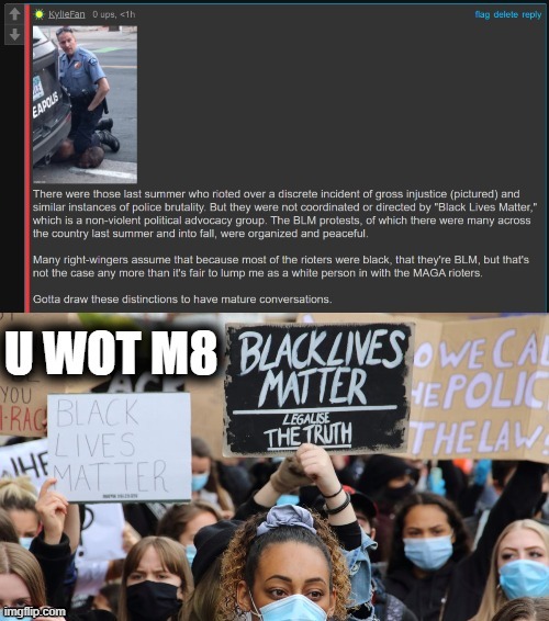 The phrase “BLM riots” is politically motivated slander. BLM is a peaceful advocacy group. | made w/ Imgflip meme maker