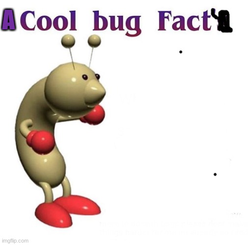 Cool Bug Facts | A | image tagged in cool bug facts | made w/ Imgflip meme maker