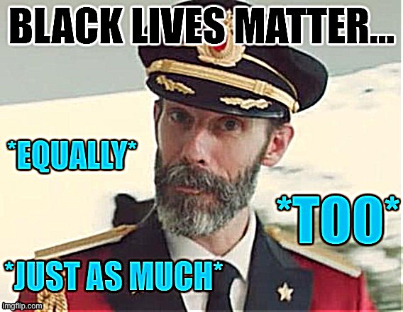 When people say BLM, they are saying this. They’re not saying white lives don’t matter. | image tagged in black lives matter too | made w/ Imgflip meme maker