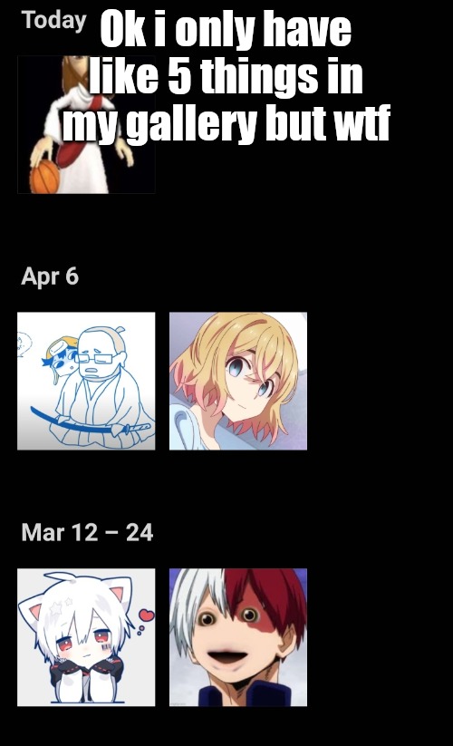 Ok i only have like 5 things in my gallery but wtf | made w/ Imgflip meme maker