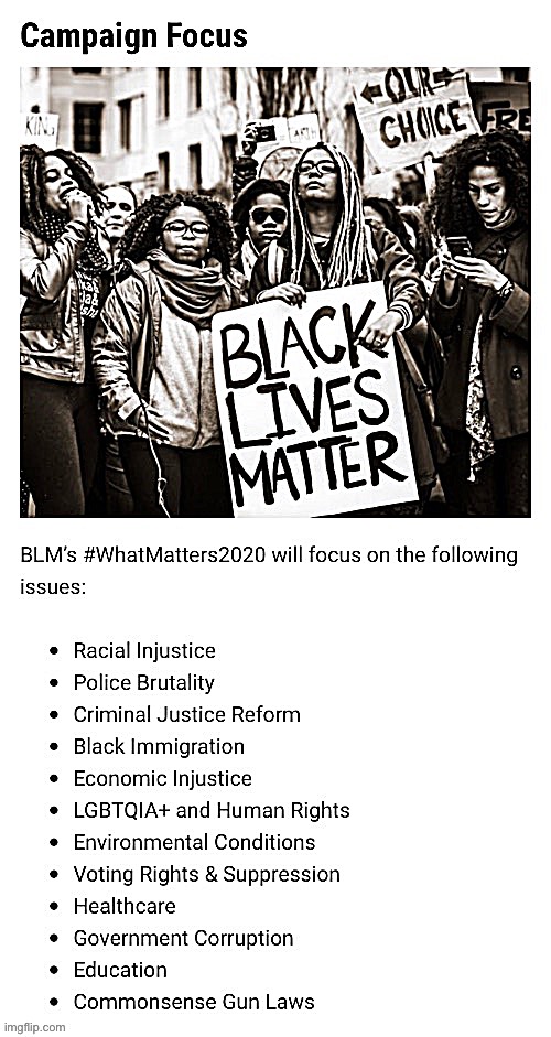 What does the BLM movement "really support"? Well: have you asked them? | image tagged in black lives matter priorities | made w/ Imgflip meme maker