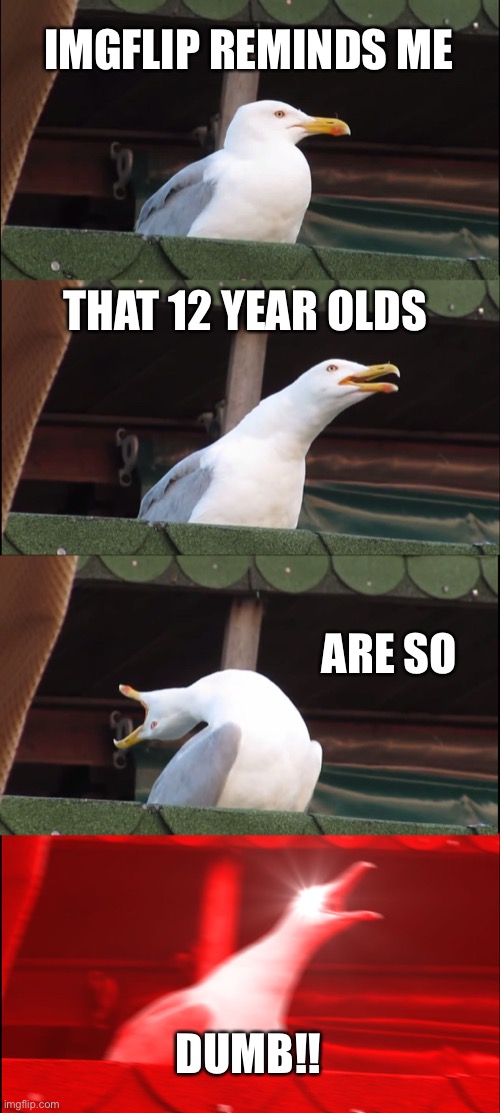 Nostalgia | IMGFLIP REMINDS ME; THAT 12 YEAR OLDS; ARE SO; DUMB!! | image tagged in memes,inhaling seagull | made w/ Imgflip meme maker