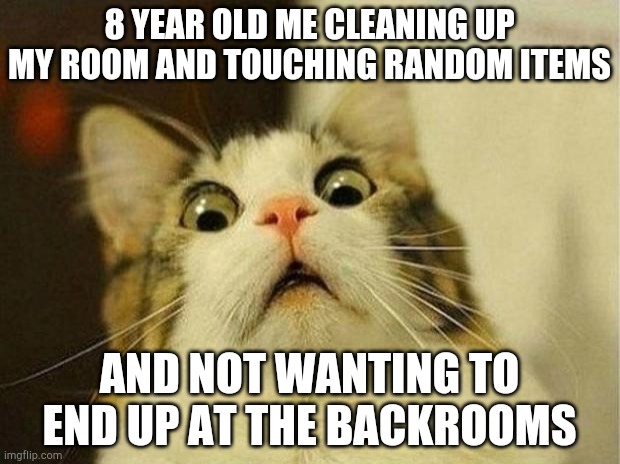 Backrooms | 8 YEAR OLD ME CLEANING UP MY ROOM AND TOUCHING RANDOM ITEMS; AND NOT WANTING TO END UP AT THE BACKROOMS | image tagged in memes,scared cat,oof,kid | made w/ Imgflip meme maker