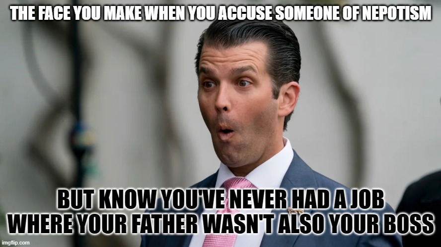 Donald Trump Jr | THE FACE YOU MAKE WHEN YOU ACCUSE SOMEONE OF NEPOTISM; BUT KNOW YOU'VE NEVER HAD A JOB WHERE YOUR FATHER WASN'T ALSO YOUR BOSS | image tagged in donald trump jr | made w/ Imgflip meme maker