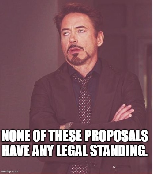 Face You Make Robert Downey Jr Meme | NONE OF THESE PROPOSALS HAVE ANY LEGAL STANDING. | image tagged in memes,face you make robert downey jr | made w/ Imgflip meme maker